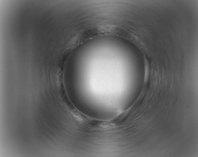 X0000067400712200604071820