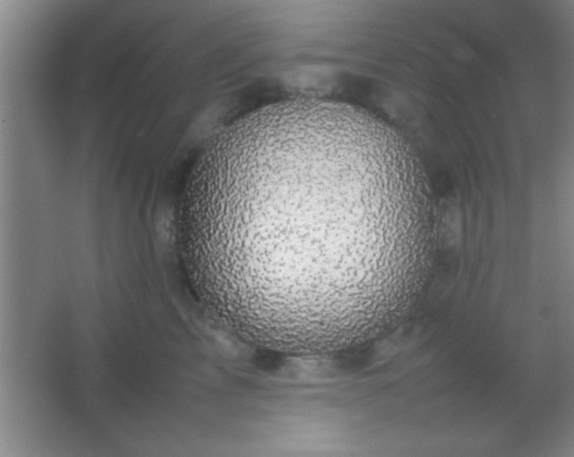 X0000067400713200604071820