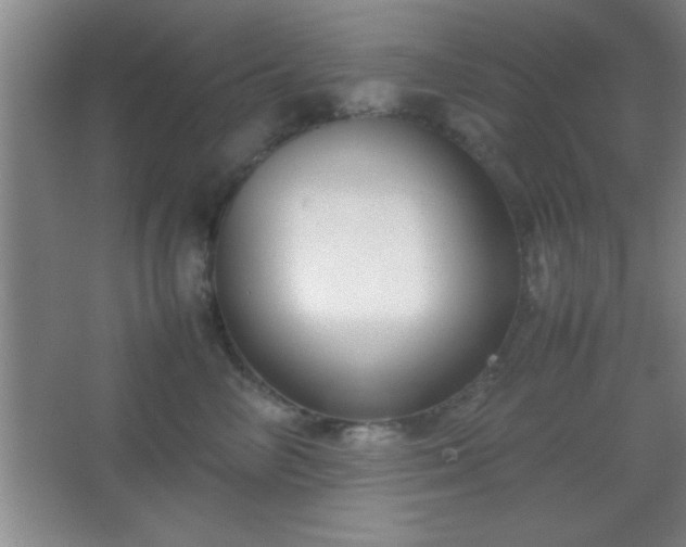 X0000067400714200604071820