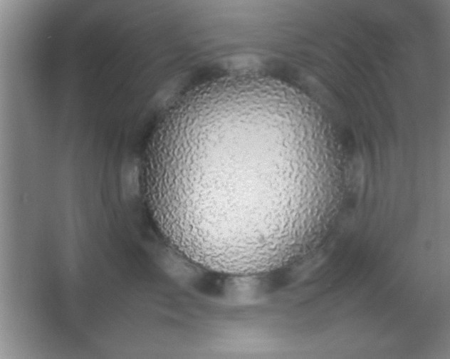 X0000067400717200604071820