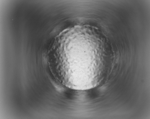 X0000067400719200604071820
