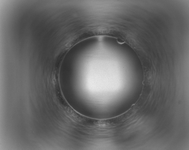 X0000067400746200604071820