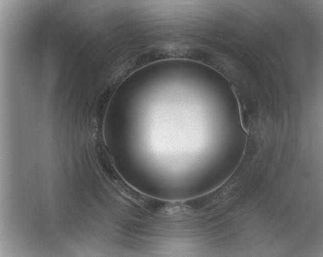 X0000067400752200604071820