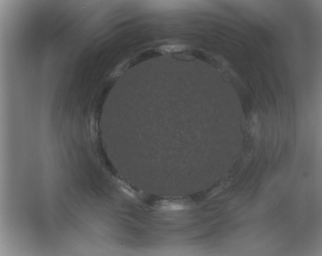 X0000067400763200604071820