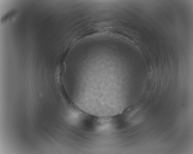 X0000067400767200604071820
