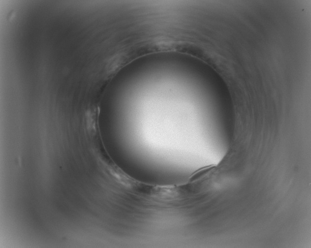X0000067400768200604071820