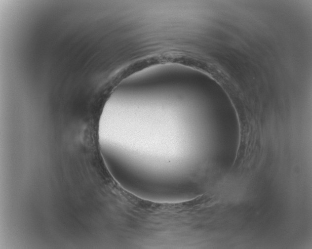 X0000067400773200604071819