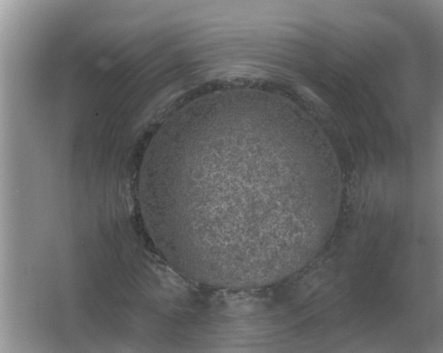 X0000067400774200604071819