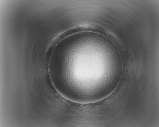 X0000067400776200604071819
