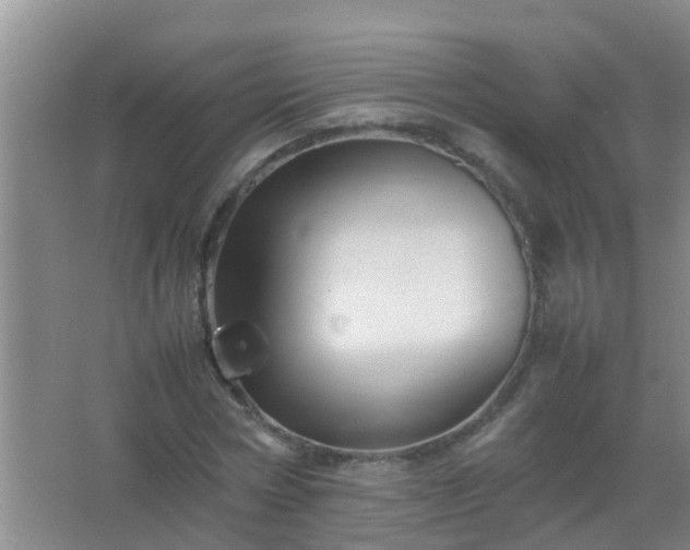 X0000067400778200604071819
