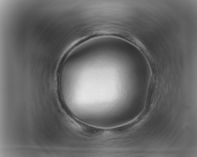 X0000067400787200604071819