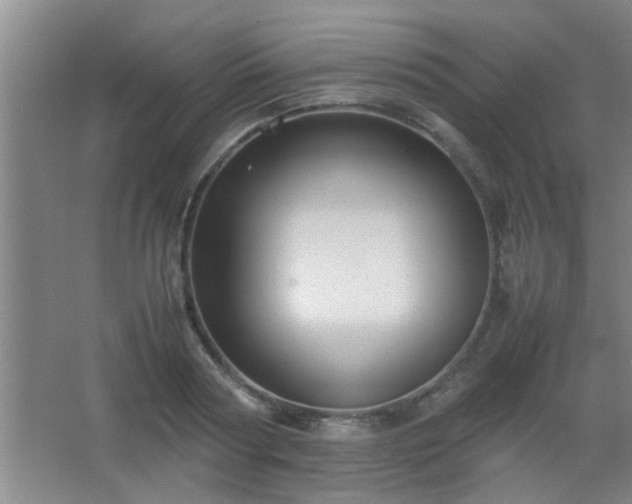 X0000067400794200604071819