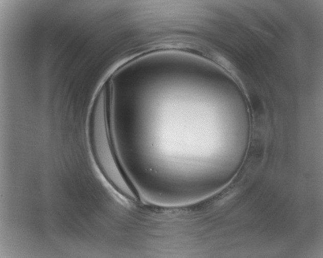 X0000067400803200604071819