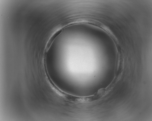 X0000067400805200604071819
