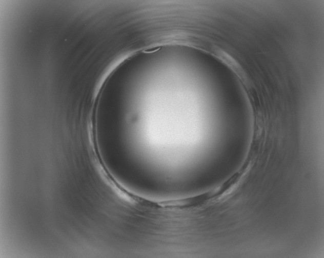 X0000067400812200604071819