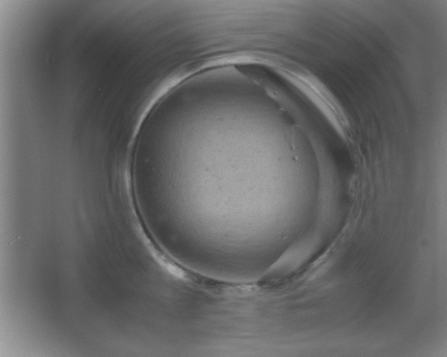 X0000067400813200604071818
