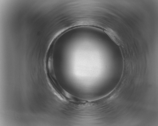X0000067400846200604071818
