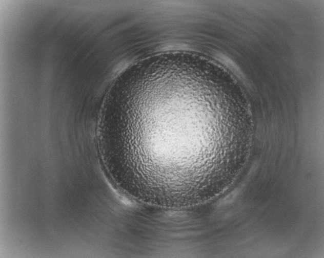 X0000067400849200604071818