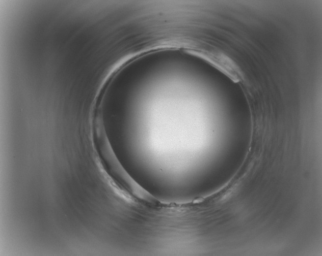 X0000067400854200604071818