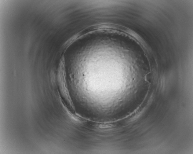 X0000067400857200604071818