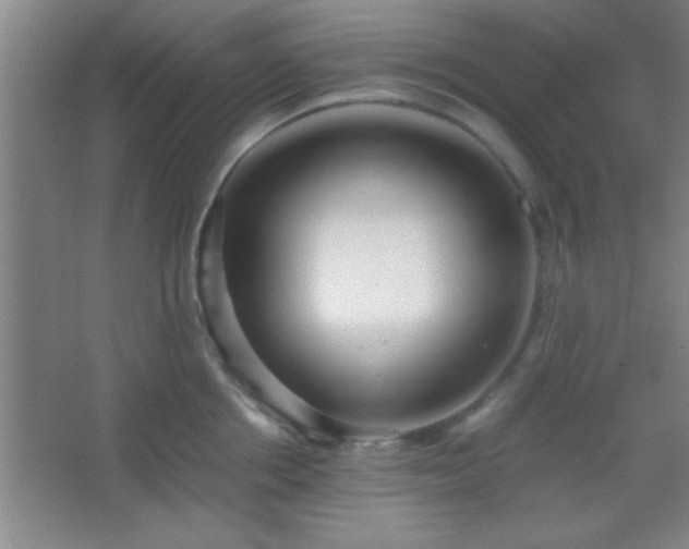 X0000067400858200604071818