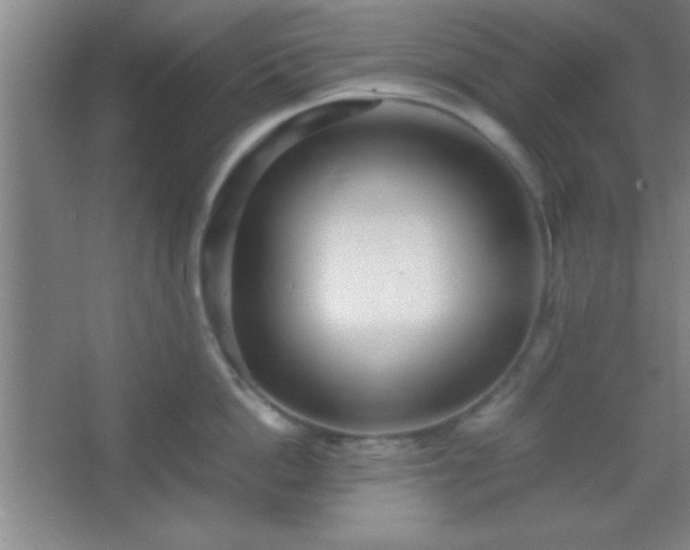 X0000067400862200604071818