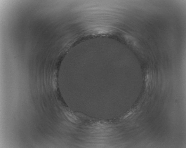 X0000067400868200604071818