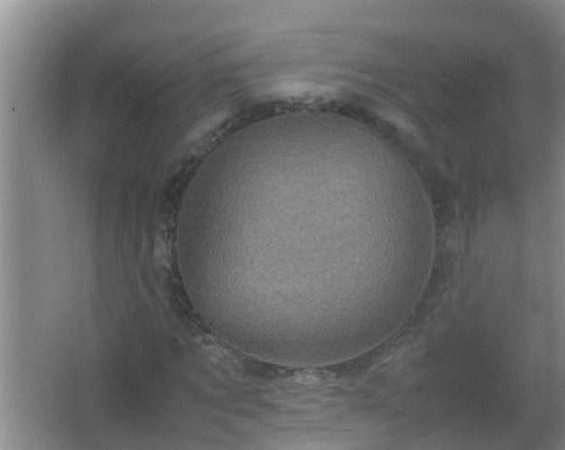 X0000067400869200604071818