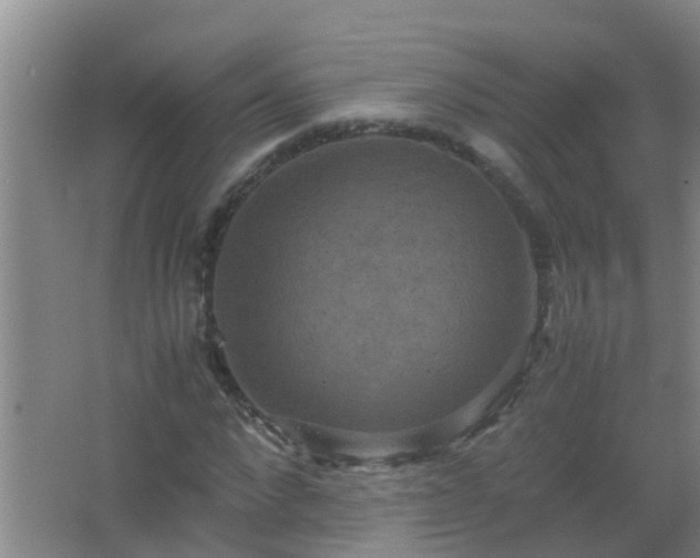 X0000067400872200604071818