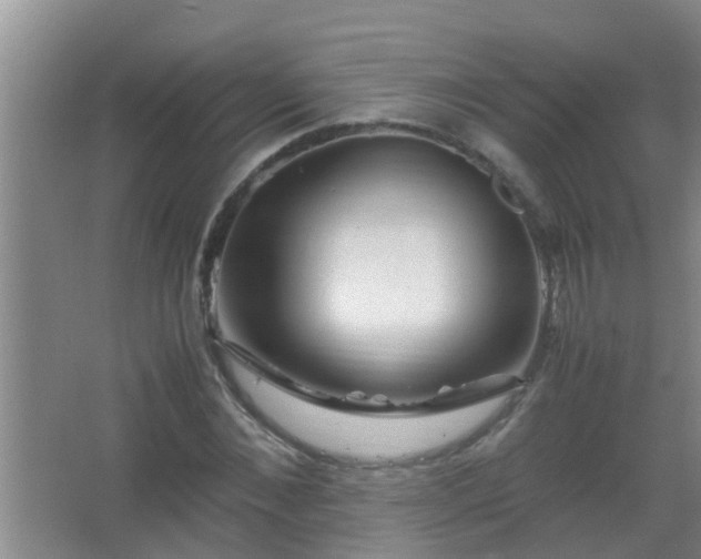 X0000067400876200604071817