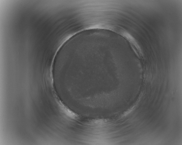 X0000067400892200604071817