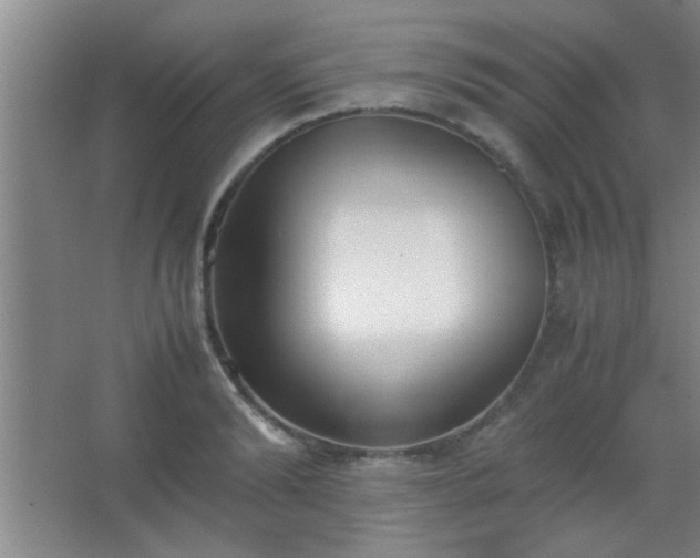 X0000067400894200604071817