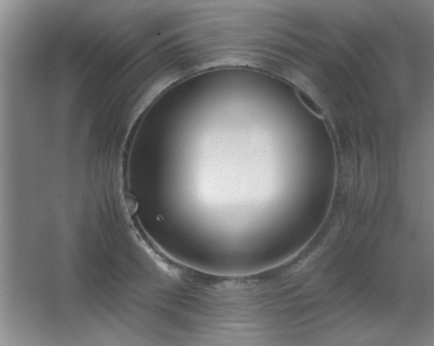 X0000067400898200604071817