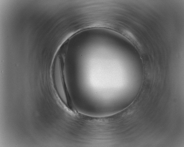 X0000067400900200604071817