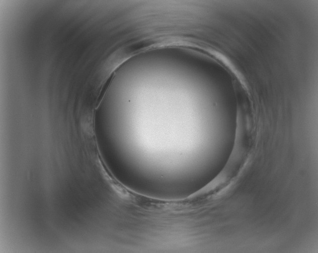 X0000067400905200604071817