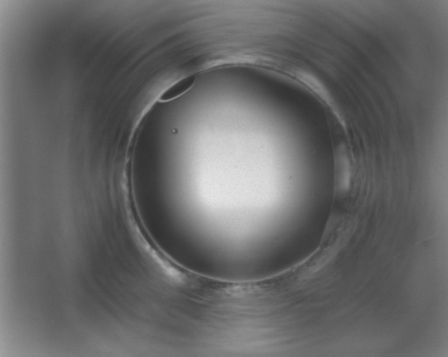 X0000067400906200604071817