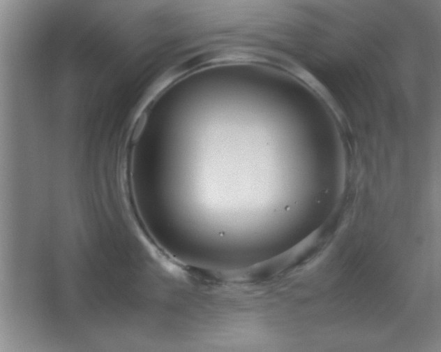 X0000067400909200604071817