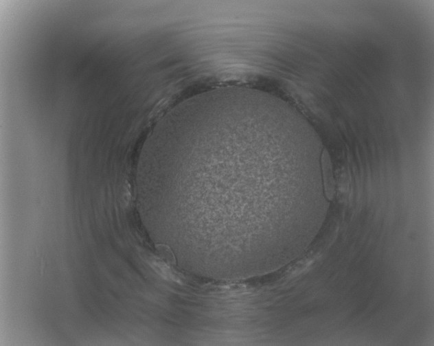 X0000067400916200604071816