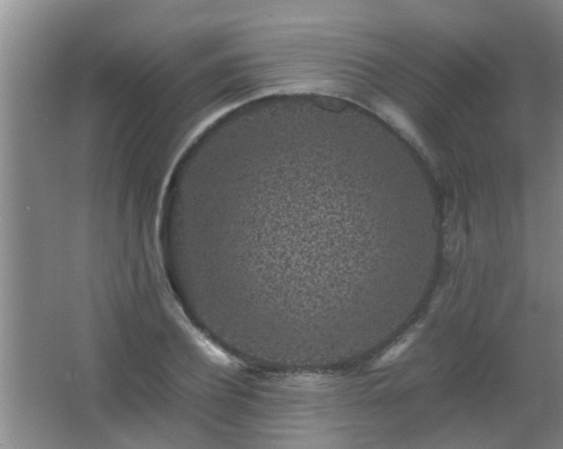 X0000067400932200604071816