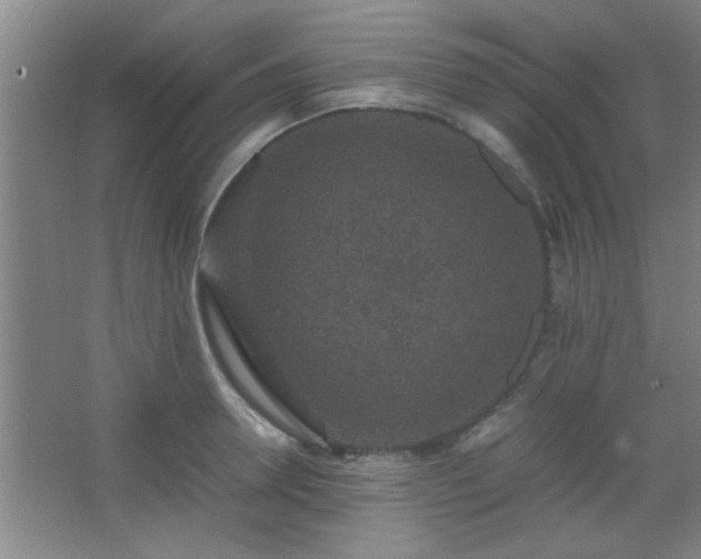 X0000067400946200604071817