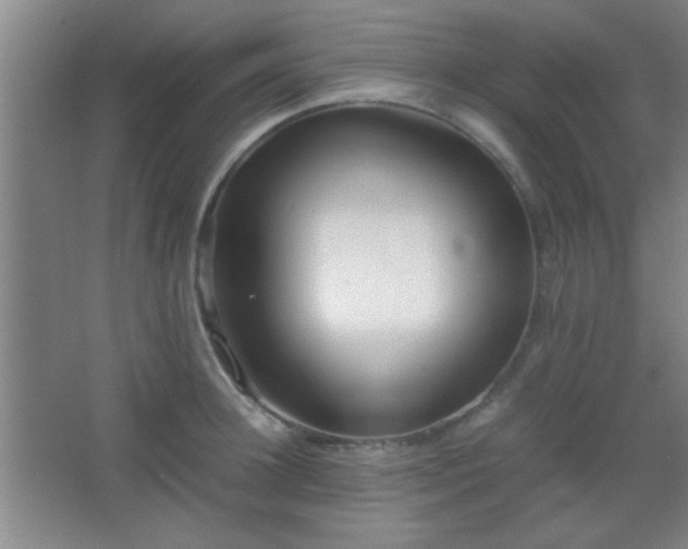 X0000067400948200604071817