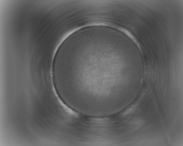 X0000067400951200604071817
