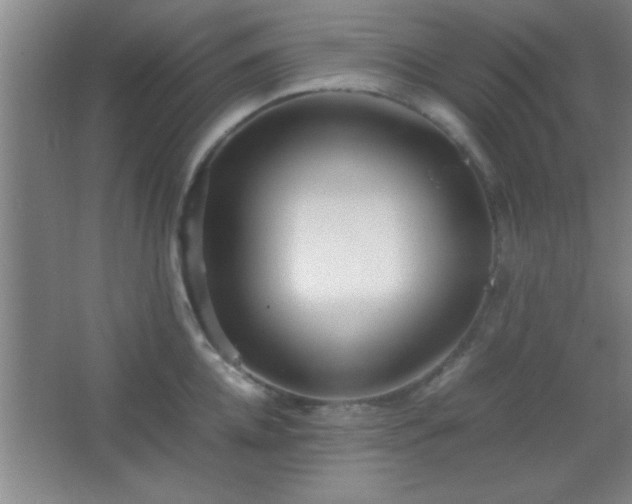 X0000067400952200604071817