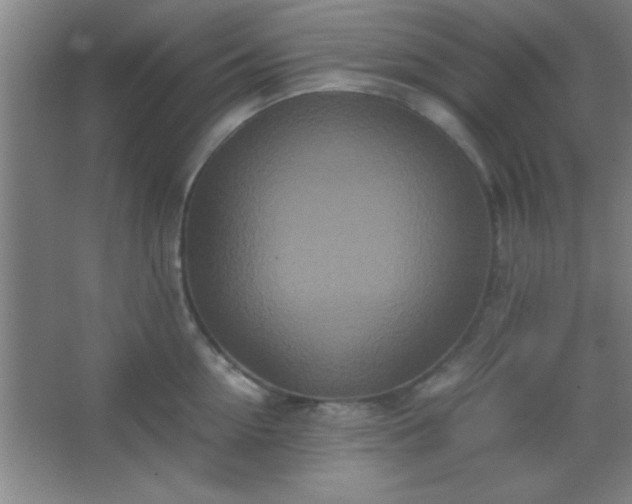 X0000067400954200604071817