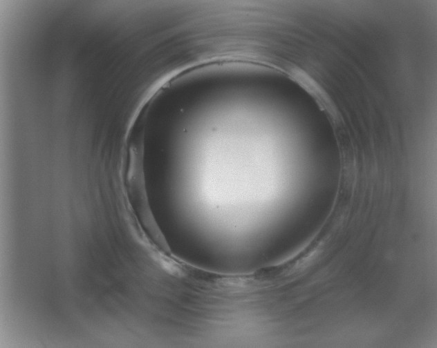 X0000067400956200604071817