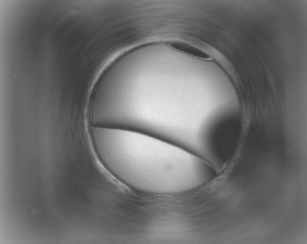 X0000067400958200604071817