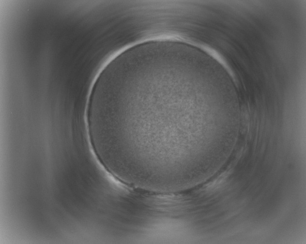 X0000067400959200604071817