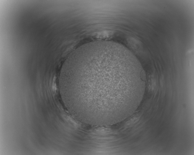 X0000067400962200604071816