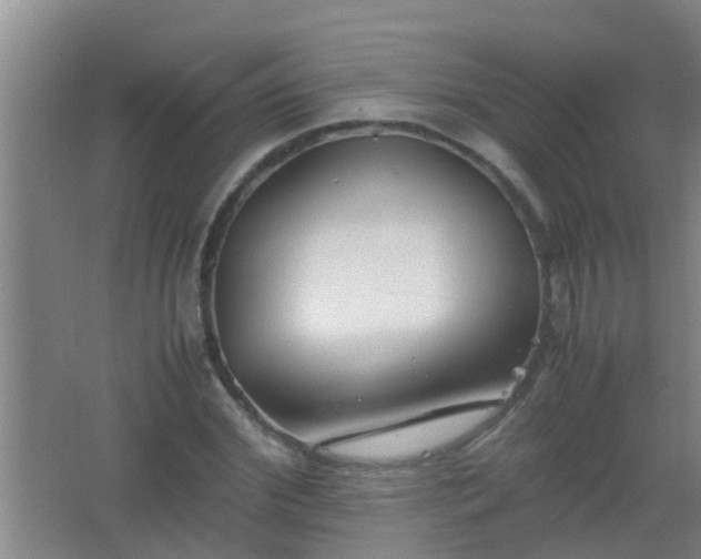 X0000067400972200604071816