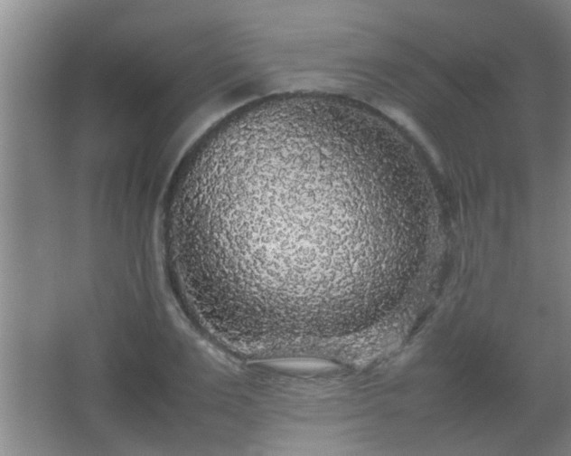 X0000067400983200604071816